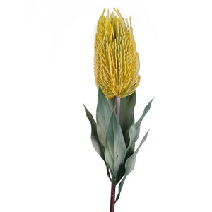Banksia Menziesii Flower Stem Artificial