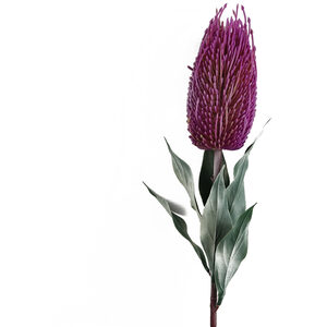 Banksia Menziesii Flower Stem Artificial - Image 2