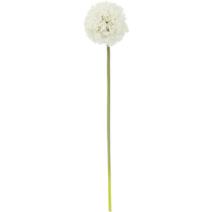 Fiori Ivory Allium Flower Stem - White