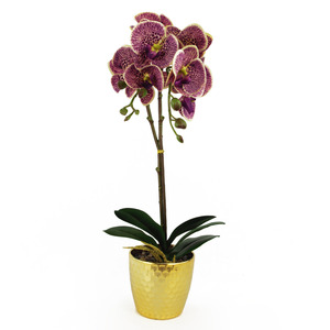 Artificial Real Touch Orchid in Decorative Pot