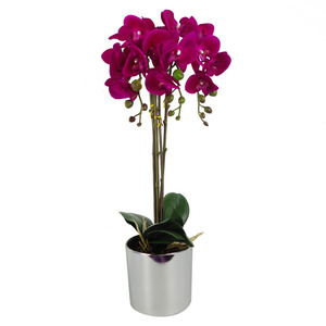 Artificial Real Touch Orchid in Decorative Pot - Image 2